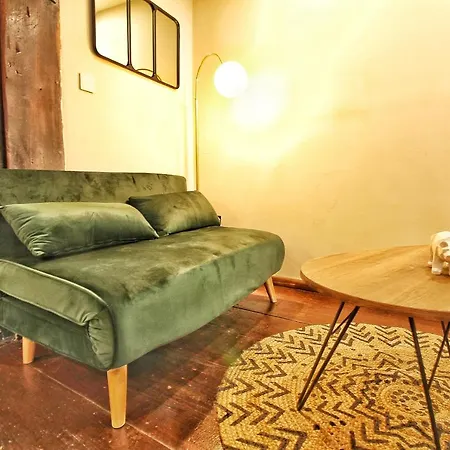 Locbnb - Tourism And Business Locations - Alsace - Centre - Route Des Vins Lägenhet