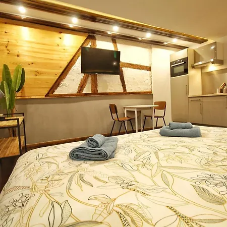 Lejlighed Locbnb - Tourism And Business Locations - Alsace - Centre - Route Des Vins Barr