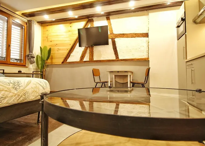 Locbnb - Tourism And Business Locations - Alsace - Centre - Route Des Vins * بارْ